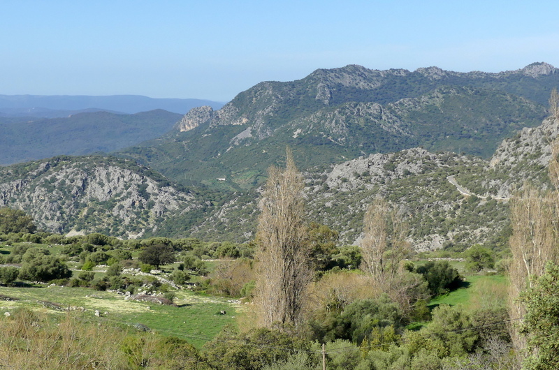 Andalusia: le orchidee e Grandi Pietre  marzo-aprile 2023.